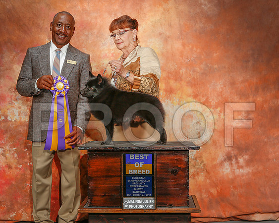 _ST_2375-2-CarlrolltonSept2014-HR3