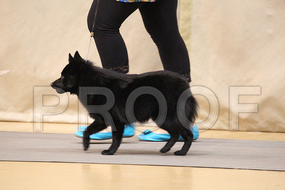 MJS_4147
