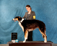 Borzoi #??? Sun S2 NC