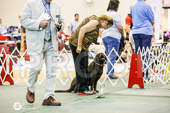 _JJ_4370-BsrCtyJun2014-HR3
