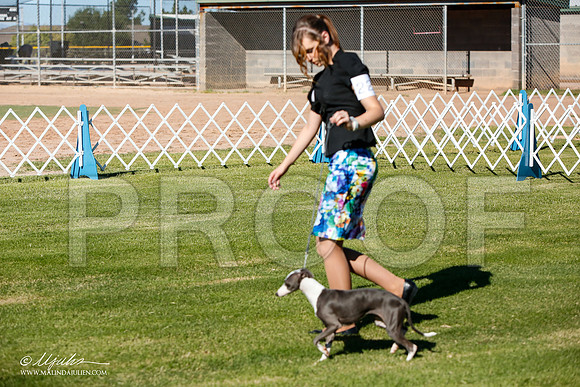 _JJ_4277-AlamogordoOct2014-HR3