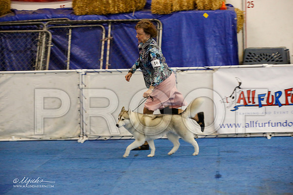 _M3_0701-AddisonHuskyMar2015-HR3
