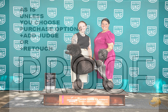 Poodle Standard #113 Sun NCh BOW Judge Kevin Carroll__JP_1771_Longview WA_2024_HR3