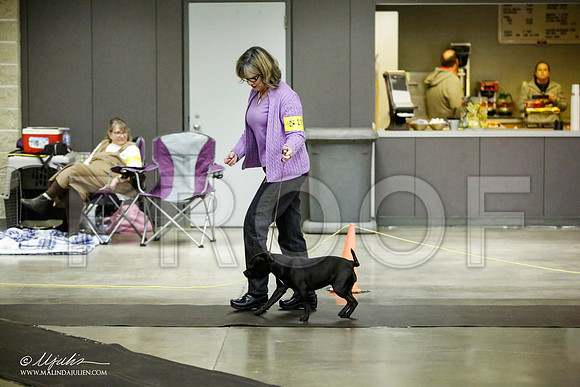 _JJ_6001-BeltonJan2015IABCA-HR3