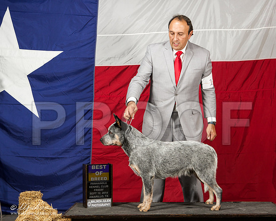 _ST_1603-AmarilloSep2014-HR3