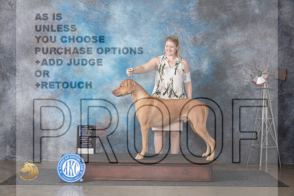 Rhodesian Ridgeback #5 Thur BOWMCH Judge Gary Andersen__JP_4856_Amarillo_2024_HR3