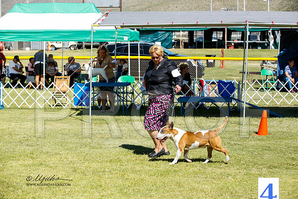 _JN_1123-AlamogordoOct2014-HR3