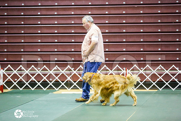 _RH_8626-BsrCtyJun2014-HR3