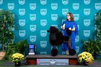 Poodle Std #113 Sat G1