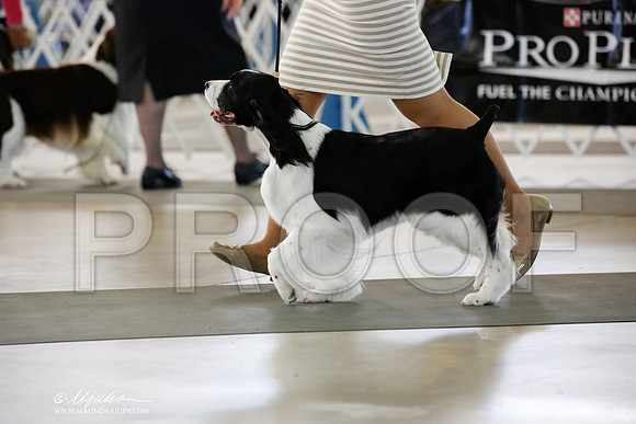 _JN_1980-DallasJul2014-HR3
