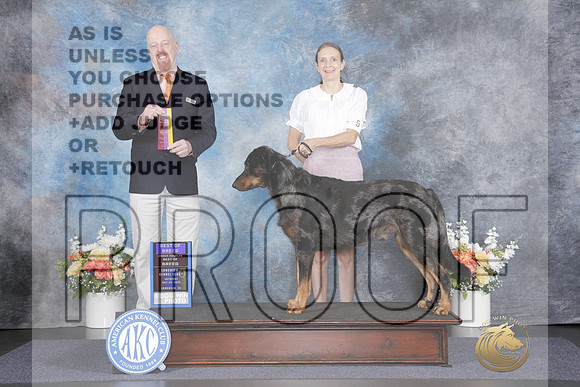 Beauceron #5 Sat BOB OHBOB Judge Jim Albrecht-_WP_2451e_Longview 2026HR3