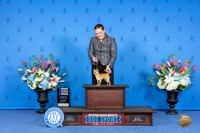 Chihuahua #18 SAT WB Judge Angela Pickett