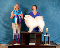 American Eskimo #120 Sat NAEDA BOB GC