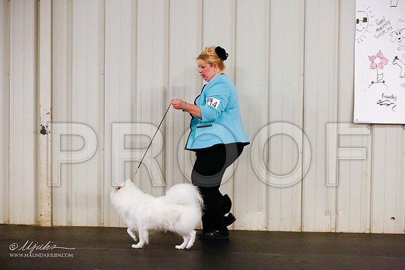 _R1_0602-SchrtzOctt2015-HR3