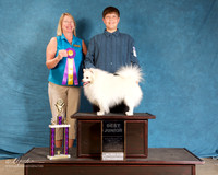 American Eskimo #115 Sat Best Jr