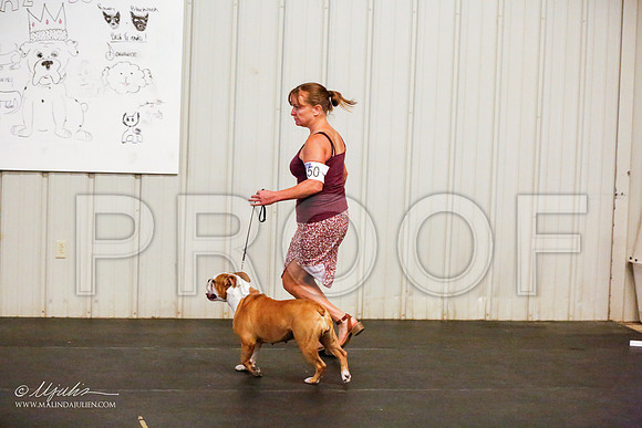 _R1_1289-SchrtzOct2015-HR3