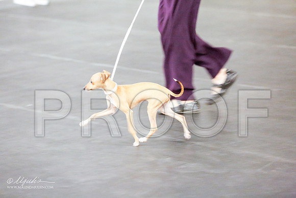 _R1_1349-SchrtzOct2015-HR3