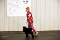 Poodle Sat Ring
