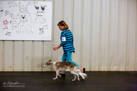 Silken Windhound Sat Ring