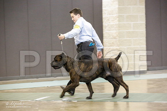_JN_1378-BeltonJan2015-HR3