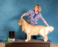 Golden Retriever #110 Sun S1 BOW