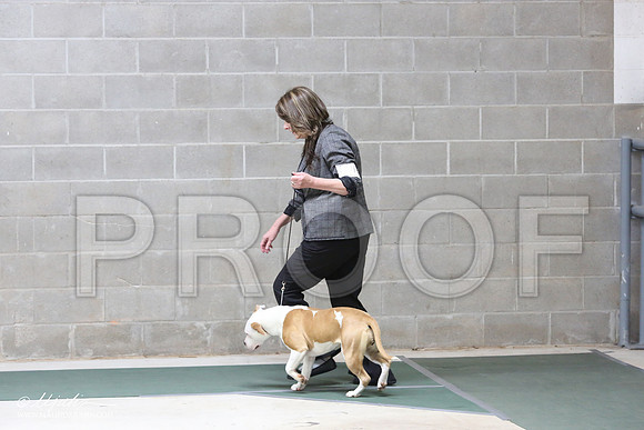 APBT-6145-HR
