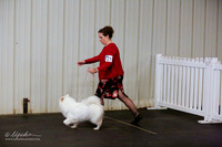 American Eskimo Sun S2 Ring
