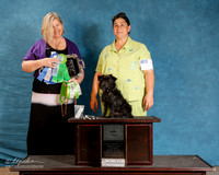 Affenpinscher #104 Sun S2 NT