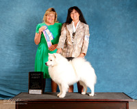 American Eskimo #??? Sun S2 G1