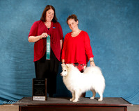 American Eskimo #121 Sun S2 Champ of Champs