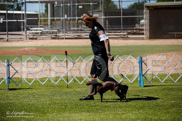 _JJ_8222-AlamogordoOct2014-HR3