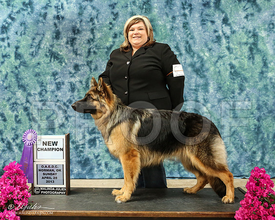 GSD-2441-HR