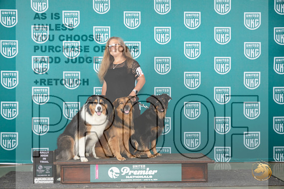 English Shepherd #475 Rally All Stars__JP_2996_Premier_2024_HR3
