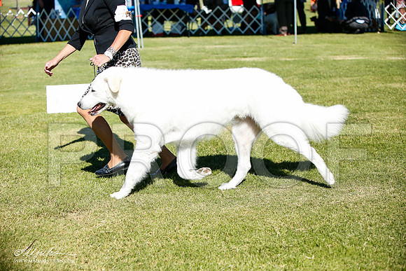_JJ_6218-AlamogordoOct2014-HR3