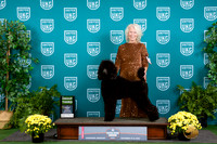 Poodle Std #165 Sat G3