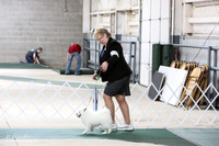 Best in Show Puppy Sun Ring HR Norman Apr 2013