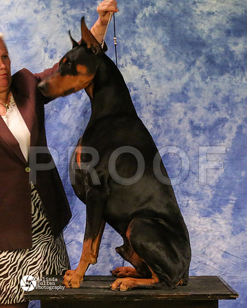 dobe-8175-MidFeb14-HR