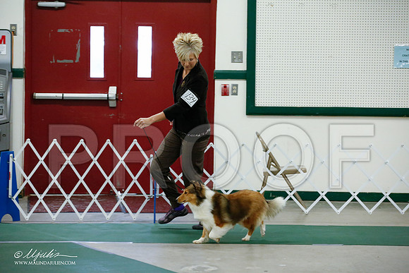 _JJ_4593-NrmnNov2014-HR3