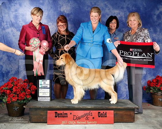 BestSweeps-6589-WFOct2013-HR