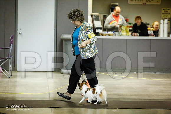 _JJ_5506-BeltonJan2015IABCA-HR3