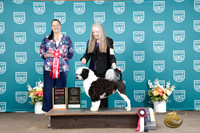 Angela Harding UKC Western Classic 2026