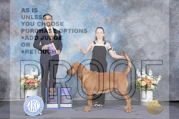 Bloodhound #6 Fri WB BOW BOS OHBOB Judge Zhida Duan-_WP_2968e_Longview 2026HR3