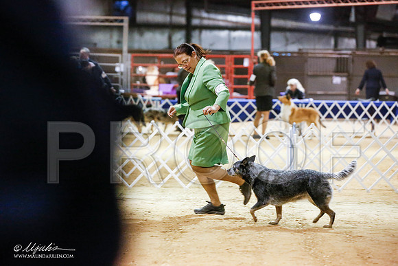 _JN_4807-2-GlenRoseJan2015-HR3