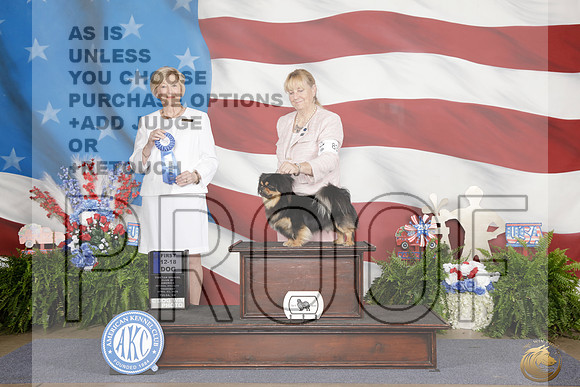 Tibetan Spaniel #106 Thurs Open 1st Judge Charlotte Paterson_WP_9008e_Tulsa 2026