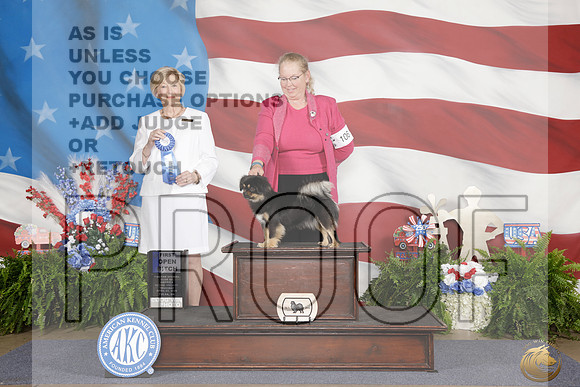 Tibetan Spaniel #106 Thurs Open 1st Judge Charlotte Paterson_WP_8825e_Tulsa 2026