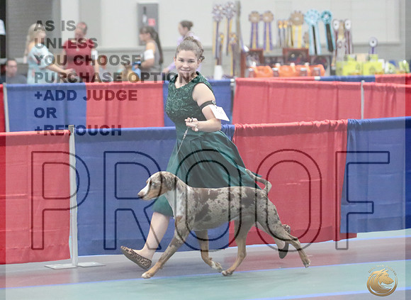 LCLD Sat RingsideJRL_5934_UDOG Longview TX Aug 2026