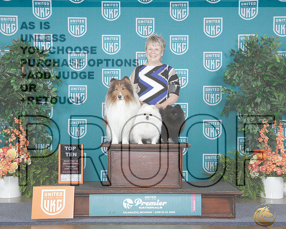 Pomeranians and Shetland Sheepdog Thurs Top 10_WP_7471_UKC Premier 2026