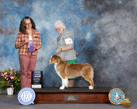 Debra L Allen ABQ 2026