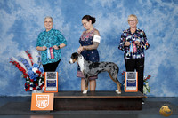 Catherine Stafford UDOG Longview Aug 2026