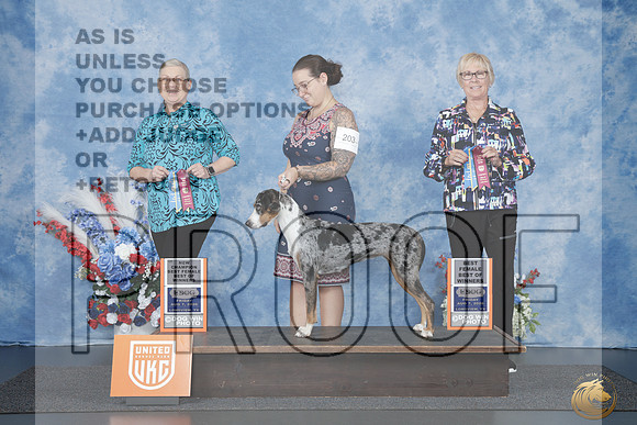 LCLD #203 Fri BOW CH Judge Terri Rein_P2_1543e_UDOG Longview Aug 2026
